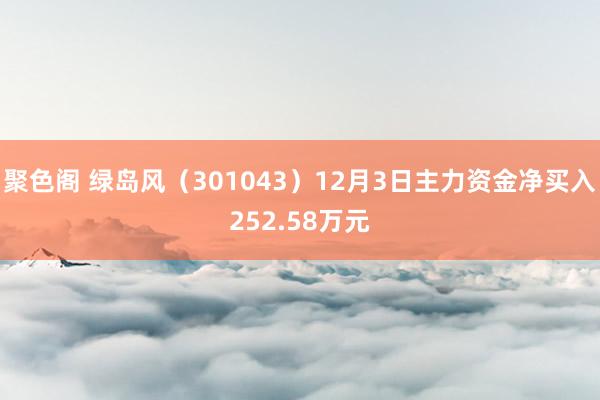 聚色阁 绿岛风（301043）12月3日主力资金净买入252.58万元