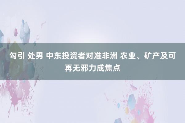 勾引 处男 中东投资者对准非洲 农业、矿产及可再无邪力成焦点