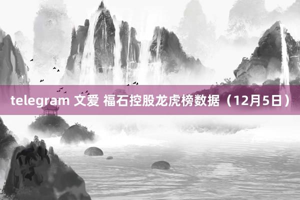 telegram 文爱 福石控股龙虎榜数据（12月5日）