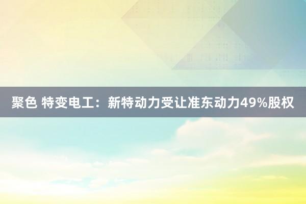 聚色 特变电工：新特动力受让准东动力49%股权