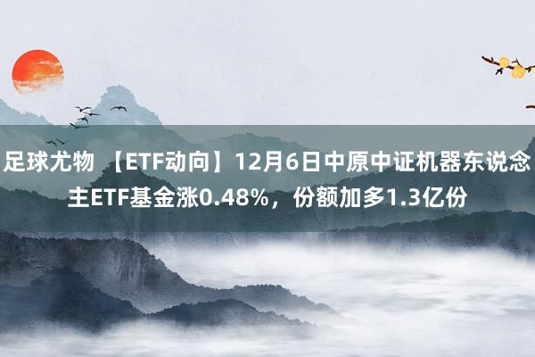 足球尤物 【ETF动向】12月6日中原中证机器东说念主ETF基金涨0.48%，份额加多1.3亿份