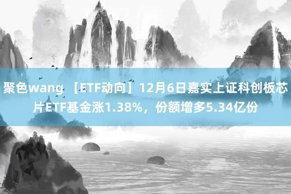 聚色wang 【ETF动向】12月6日嘉实上证科创板芯片ETF基金涨1.38%，份额增多5.34亿份