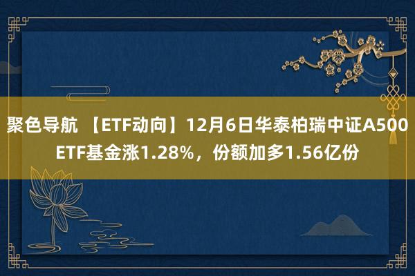 聚色导航 【ETF动向】12月6日华泰柏瑞中证A500ETF基金涨1.28%，份额加多1.56亿份