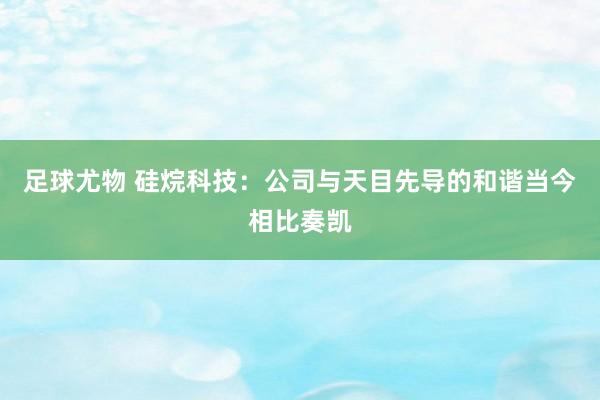 足球尤物 硅烷科技：公司与天目先导的和谐当今相比奏凯