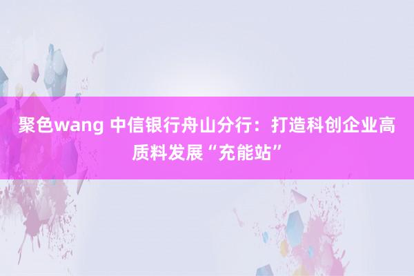 聚色wang 中信银行舟山分行：打造科创企业高质料发展“充能站”