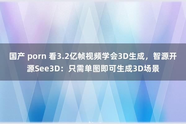 国产 porn 看3.2亿帧视频学会3D生成，智源开源See3D：只需单图即可生成3D场景