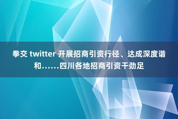 拳交 twitter 开展招商引资行径、达成深度谐和……四川各地招商引资干劲足