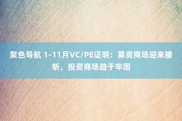 聚色导航 1-11月VC/PE证明：募资商场迎来腰斩，投资商场趋于牢固