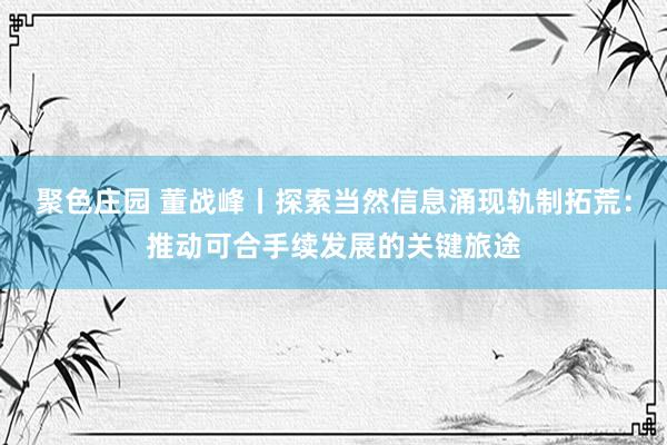 聚色庄园 董战峰丨探索当然信息涌现轨制拓荒：推动可合手续发展的关键旅途