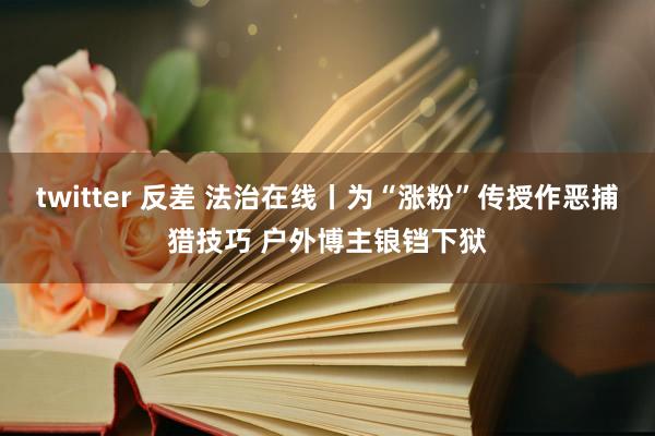 twitter 反差 法治在线丨为“涨粉”传授作恶捕猎技巧 户外博主锒铛下狱