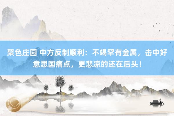 聚色庄园 中方反制顺利：不竭罕有金属，击中好意思国痛点，更悲凉的还在后头！