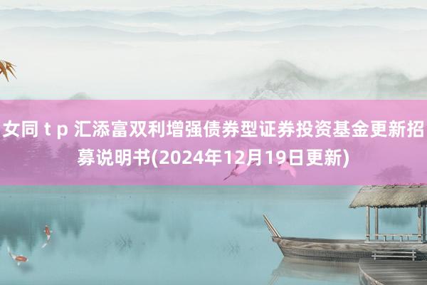 女同 t p 汇添富双利增强债券型证券投资基金更新招募说明书(2024年12月19日更新)