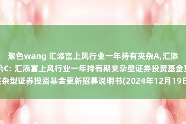 聚色wang 汇添富上风行业一年持有夹杂A，汇添富上风行业一年持有夹杂C: 汇添富上风行业一年持有期夹杂型证券投资基金更新招募说明书(2024年12月19日更新)