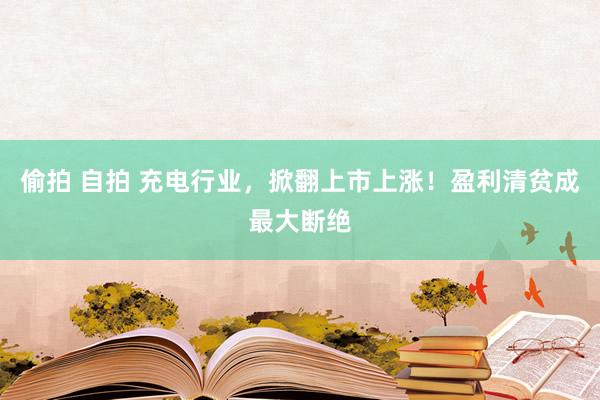 偷拍 自拍 充电行业，掀翻上市上涨！盈利清贫成最大断绝