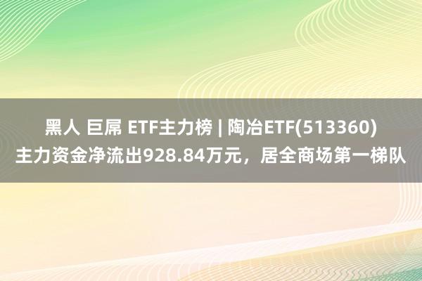 黑人 巨屌 ETF主力榜 | 陶冶ETF(513360)主力资金净流出928.84万元，居全商场第一梯队