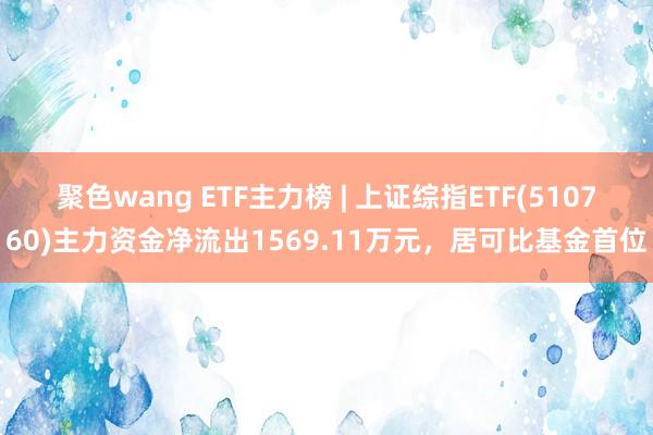 聚色wang ETF主力榜 | 上证综指ETF(510760)主力资金净流出1569.11万元，居可比基金首位