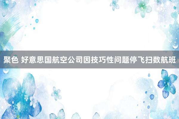 聚色 好意思国航空公司因技巧性问题停飞扫数航班