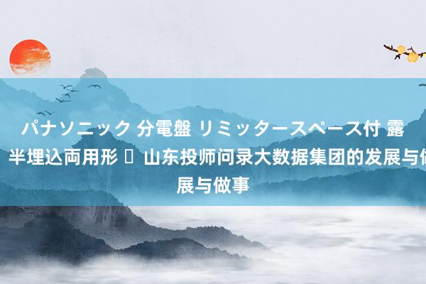 パナソニック 分電盤 リミッタースペース付 露出・半埋込両用形 ​山东投师问录大数据集团的发展与做事