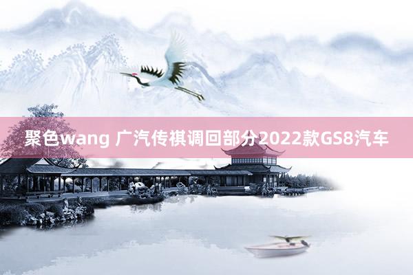 聚色wang 广汽传祺调回部分2022款GS8汽车