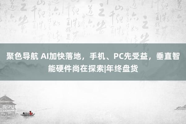 聚色导航 AI加快落地，手机、PC先受益，垂直智能硬件尚在探索|年终盘货