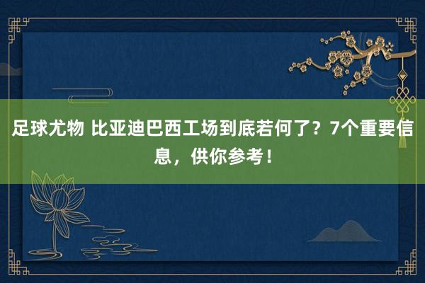 足球尤物 比亚迪巴西工场到底若何了？7个重要信息，供你参考！