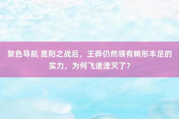 聚色导航 昆阳之战后，王莽仍然领有畸形丰足的实力，为何飞速湮灭了？