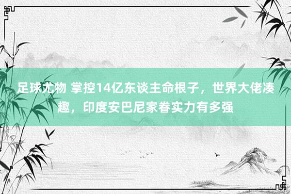 足球尤物 掌控14亿东谈主命根子，世界大佬凑趣，印度安巴尼家眷实力有多强