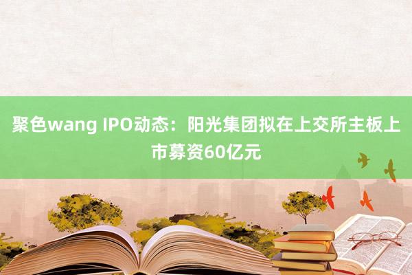 聚色wang IPO动态：阳光集团拟在上交所主板上市募资60亿元