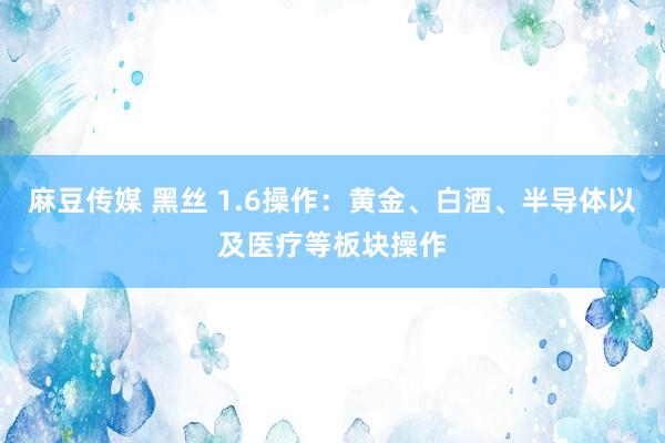 麻豆传媒 黑丝 1.6操作：黄金、白酒、半导体以及医疗等板块操作