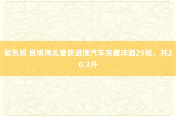 聚色阁 昆明海关查获进境汽车夹藏洋酒29瓶，共20.3升