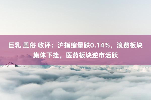 巨乳 風俗 收评：沪指缩量跌0.14%，浪费板块集体下挫，医药板块逆市活跃