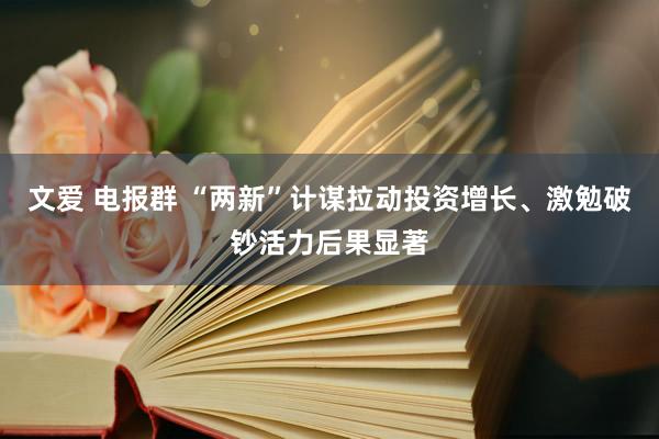 文爱 电报群 “两新”计谋拉动投资增长、激勉破钞活力后果显著