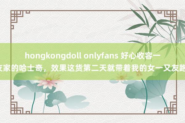 hongkongdoll onlyfans 好心收容一又友家的哈士奇，效果这货第二天就带着我的女一又友跑了！