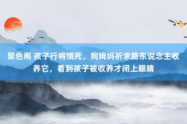 聚色阁 孩子行将饿死，狗姆妈祈求路东说念主收养它，看到孩子被收养才闭上眼睛