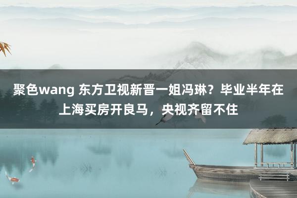 聚色wang 东方卫视新晋一姐冯琳？毕业半年在上海买房开良马，央视齐留不住