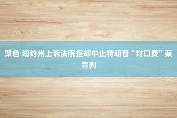 聚色 纽约州上诉法院拒却中止特朗普“封口费”案宣判