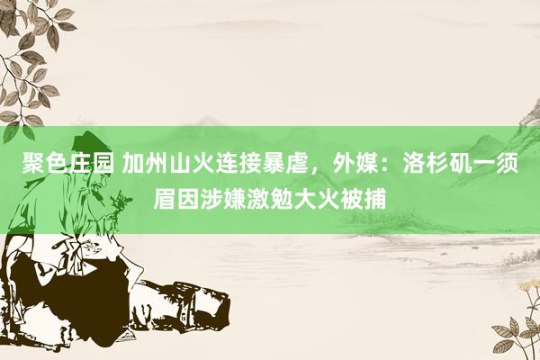 聚色庄园 加州山火连接暴虐，外媒：洛杉矶一须眉因涉嫌激勉大火被捕