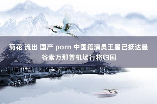 菊花 流出 国产 porn 中国籍演员王星已抵达曼谷素万那普机场行将归国