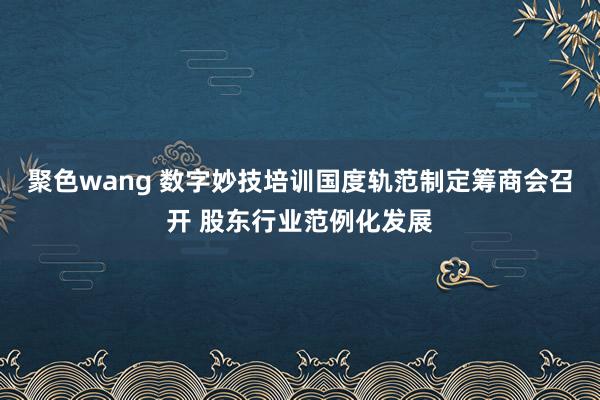 聚色wang 数字妙技培训国度轨范制定筹商会召开 股东行业范例化发展