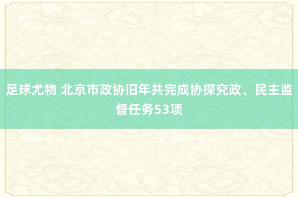 足球尤物 北京市政协旧年共完成协探究政、民主监督任务53项