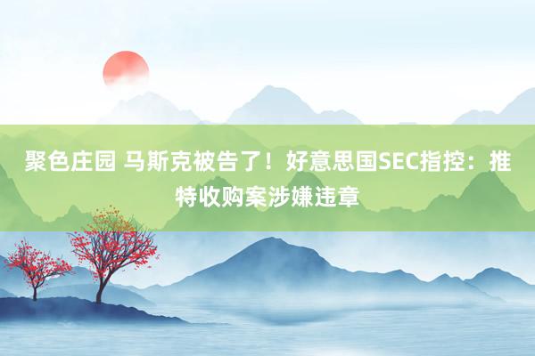 聚色庄园 马斯克被告了！好意思国SEC指控：推特收购案涉嫌违章