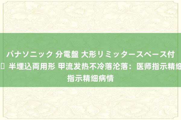 パナソニック 分電盤 大形リミッタースペース付 露出・半埋込両用形 甲流发热不冷落沦落：医师指示精细病情