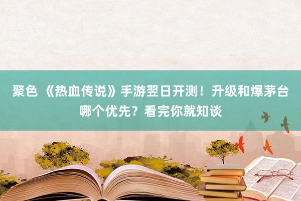 聚色 《热血传说》手游翌日开测！升级和爆茅台哪个优先？看完你就知谈